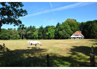 Nostalgische vakantieboerderij op Landgoed Den Haspel VMP125